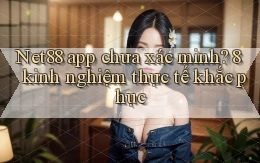 Net88 app chưa xác minh 8 kinh nghiệm thực tế khắc phục