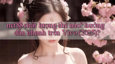 net88 chất lượng thế nào hướng dẫn nhanh trên Vivo (2025)