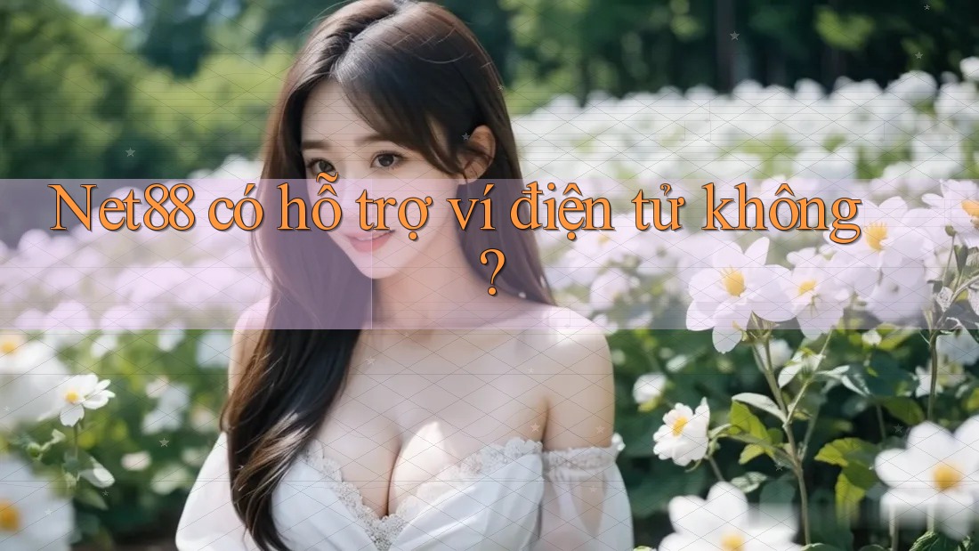 Net88 có hỗ trợ ví điện tử không?