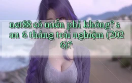 net88 có miễn phí không sau 6 tháng trải nghiệm (2026)