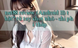 net88 review (Android 11) thật từ tay chơi nhỏ   chi phí thấp