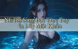 net88  sòng bạc trực tuyến lấy mật khẩu
