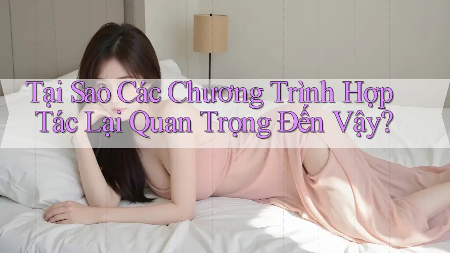 Tại Sao Các Chương Trình Hợp Tác Lại Quan Trọng Đến Vậy? Tại Sao Các Chương Trình Hợp Tác Lại Quan Trọng Đến Vậy?