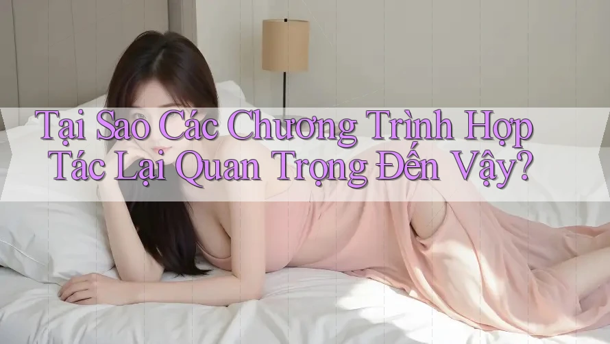 Tại Sao Các Chương Trình Hợp Tác Lại Quan Trọng Đến Vậy?